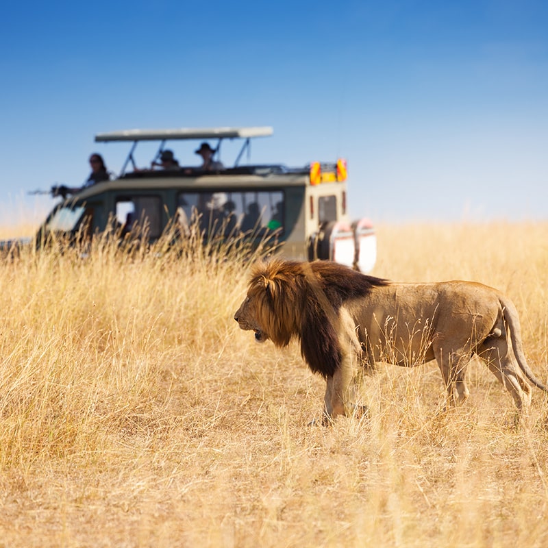 Africa